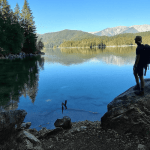 Feedback Nicklas-Carsten Muetze Coaching